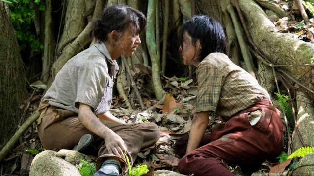 送料込】 Nell 戦国BASARA マンゴーの樹の下で 日本映画