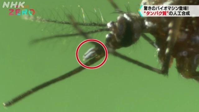 蚊のタンパク質で人類が作れなかったセンサーを開発