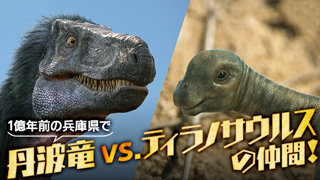 【恐竜ＣＧ】丹波竜vs.ティラノサウルスの仲間！