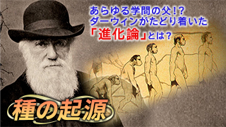「種の起源」ダーウィンは“進化論”をどう確立したのか？