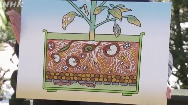 伊藤裕子が土をリフレッシュ！害虫や病原菌を取り除いて野菜が育つフカフカな土に戻す