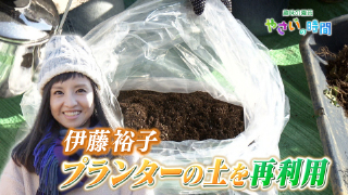 趣味の園芸・伊藤裕子がプランターで土のリフレッシュに挑戦！