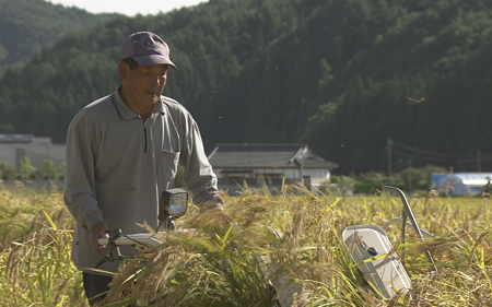Episode 1: From Rice Fields, with Love | Here are Fuku stories – fMAP｜NHK Fukushima