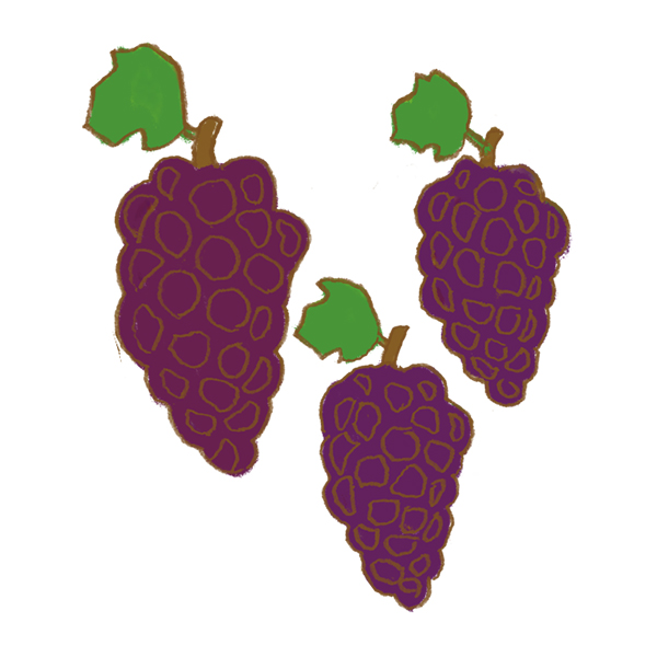 Grapes | 福島特産物