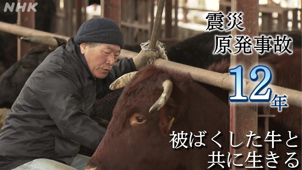 震災12年 被ばくした牛と共に生きる　福島県浪江町
