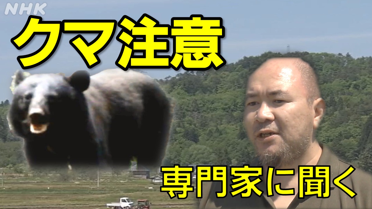 福島県でもクマ出没注意！専門家が対策を分かりやすく解説