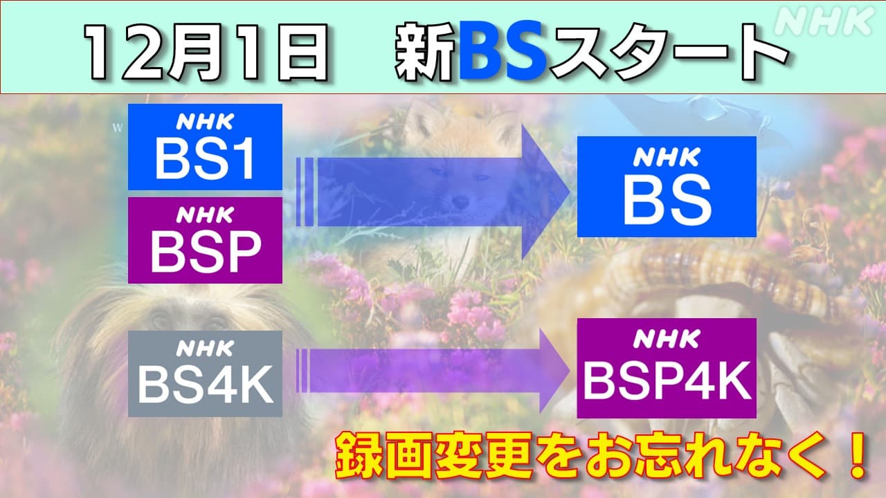 12/1(金）　NHKの新しいBSがスタート！