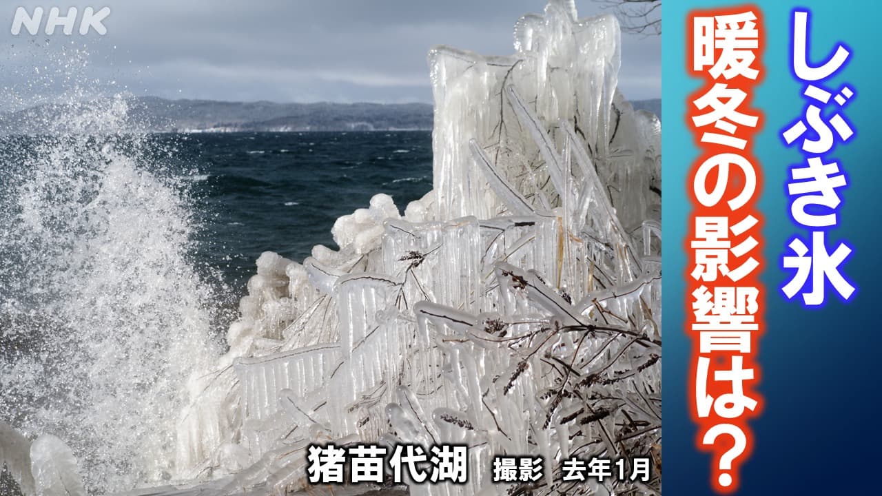 福島　“猪苗代湖しぶき氷”　暖冬の影響は？