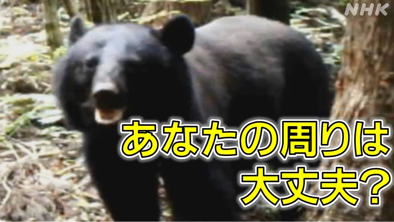 【福島・クマ】 独自の「クマMAP」で出没傾向を分析！