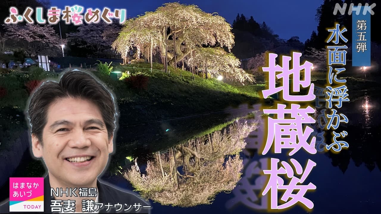 【ふくしま桜めぐり】第五弾 二本松 中島の地蔵桜 幻想的な桜を楽しめます！今回は吾妻謙アナウンサーが巡りました！