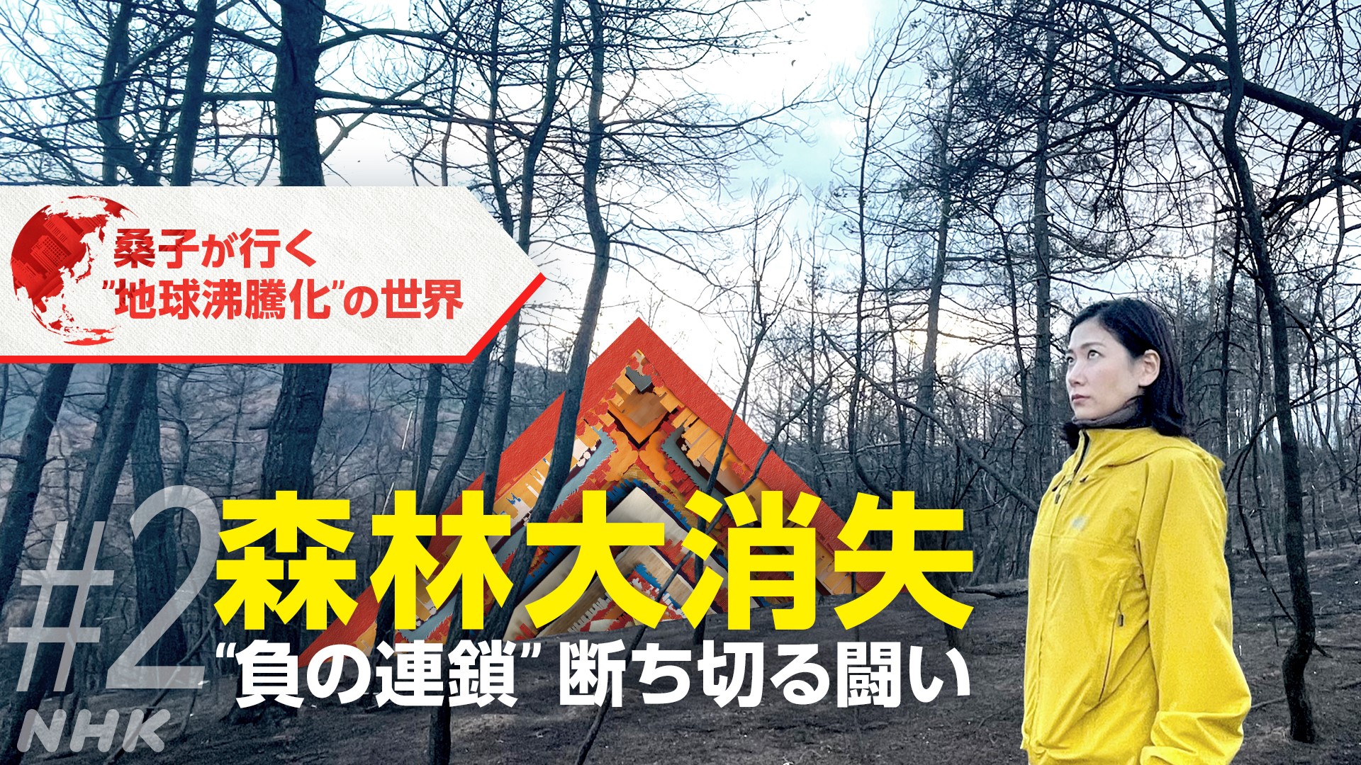 桑子キャスターが行く“地球沸騰化”の世界　第2夜　森林大消失　“負の連鎖”断ち切る闘い