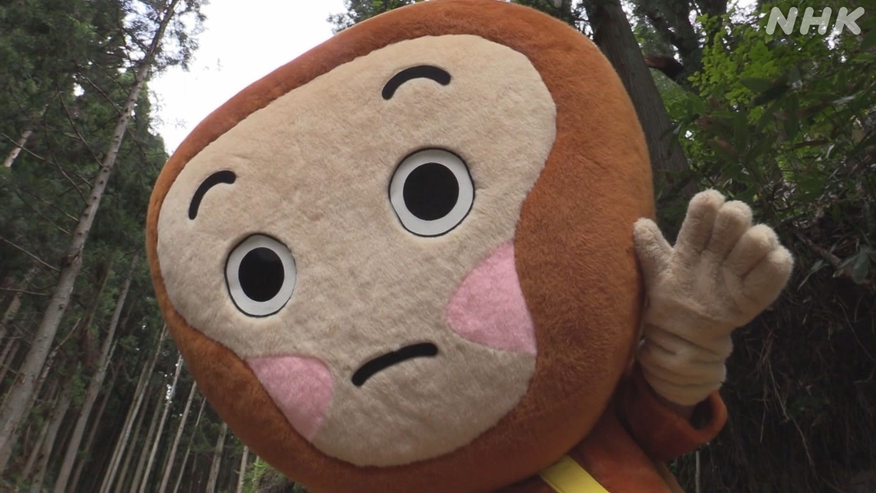 広島県庄原市JR芸備線の備後西城駅 謎の類人猿ヒバゴン一色に | NHK