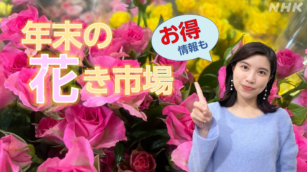 NHK広島 値上げでもお得に！前川キャスター年末の花き市場取材