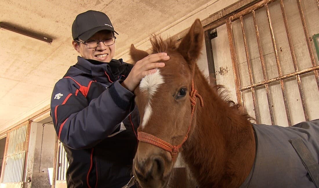 「1頭の馬が無事に競走馬になるように」～馬産地で奮闘する獣医師