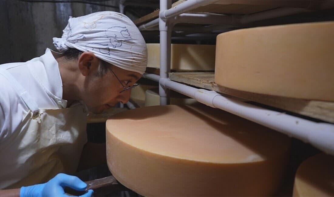 足寄町から世界で一番おいしいチーズを作る チーズ職人と酪農家10年目の夏