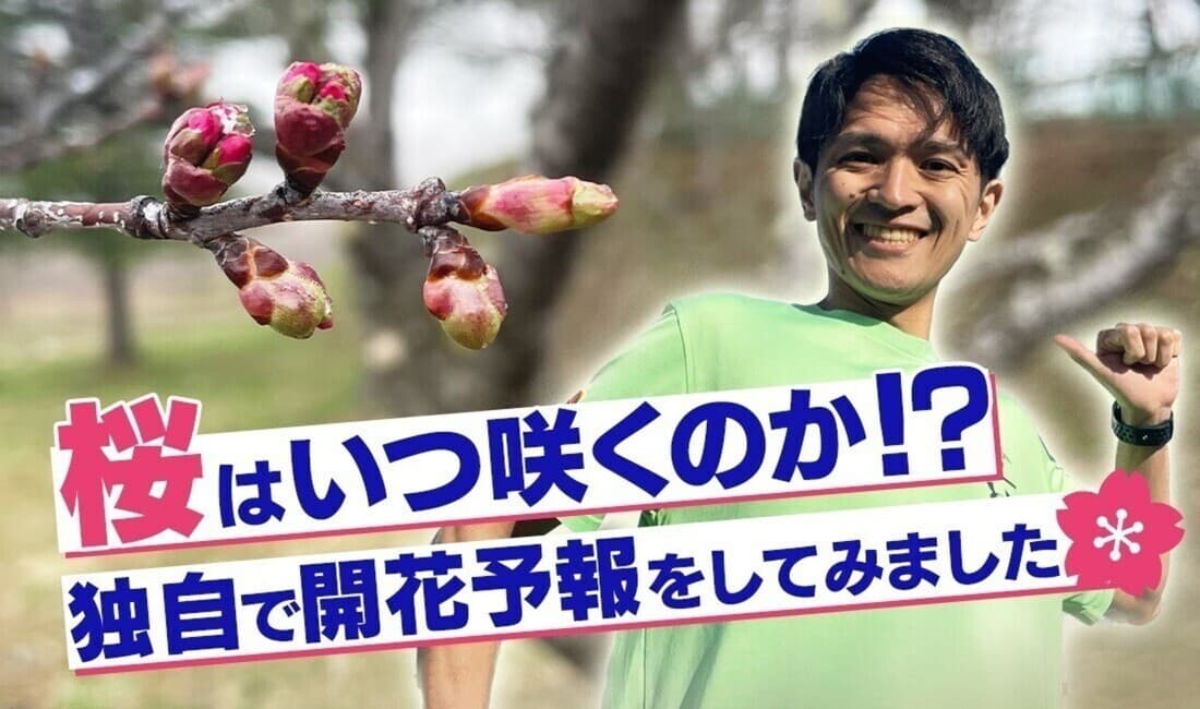 NHK帯広 気象予報士中屋 桜の開花 独自で予報してみた！