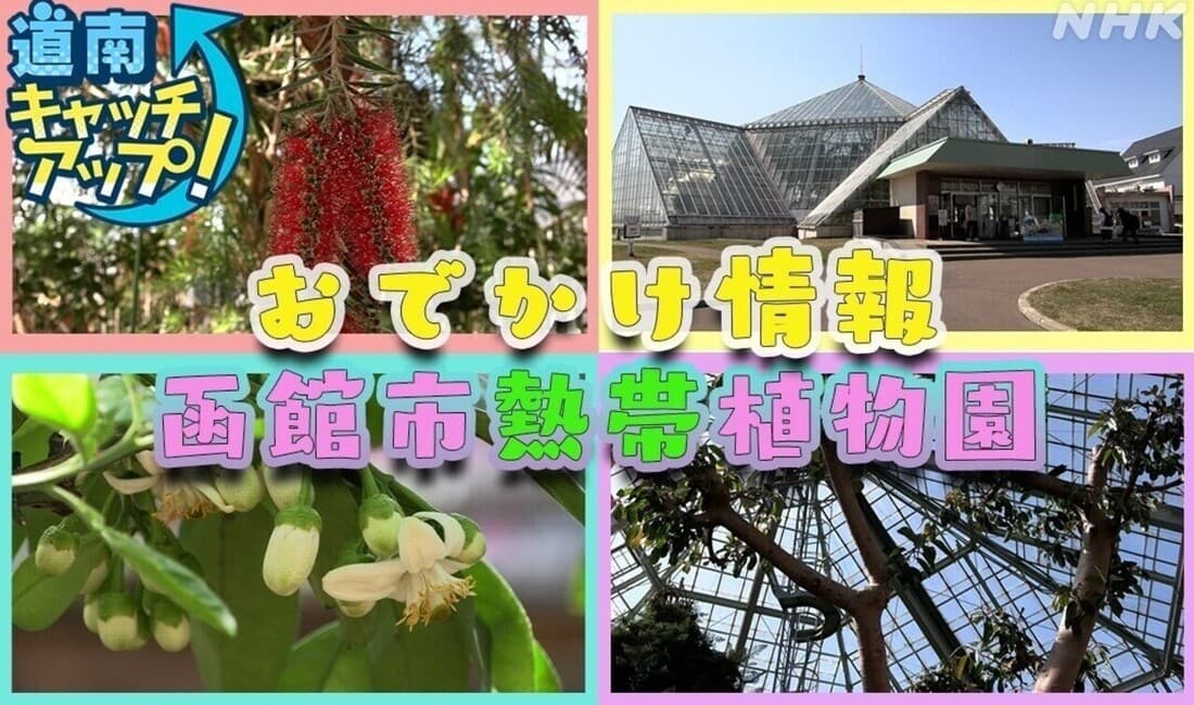 道南キャッチアップ！「函館市熱帯植物園」