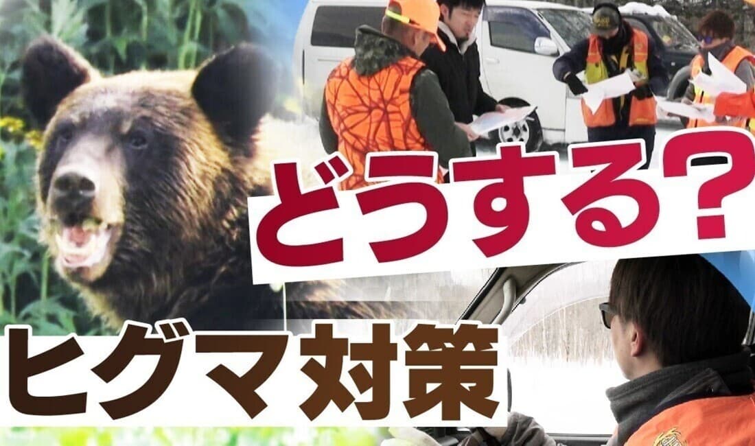 “春期管理捕獲”北海道のヒグマ対策の行方は