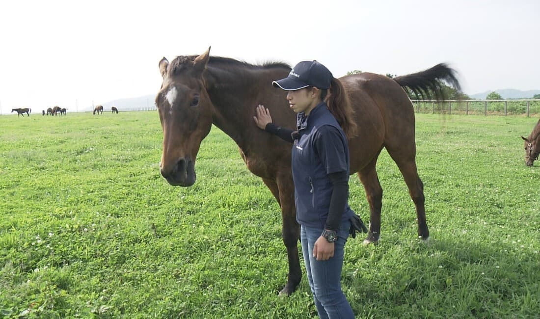 洞爺湖町 “競走馬の一生”を見据えた馬づくりを訪ねる