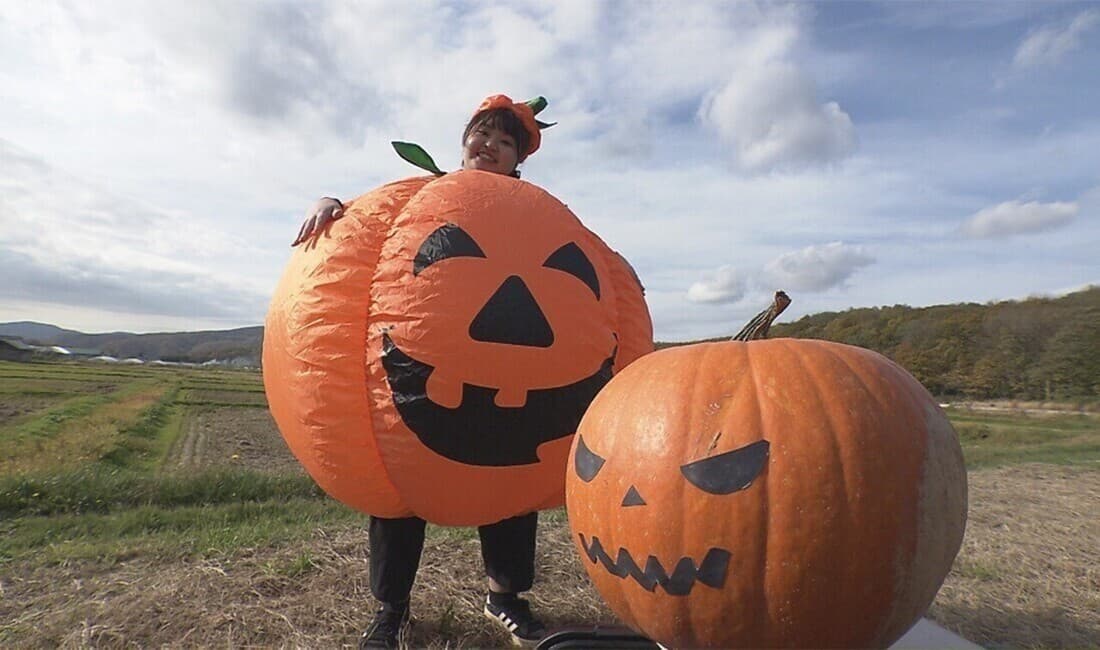 赤井川村の秋は「かぼちゃ」推し！