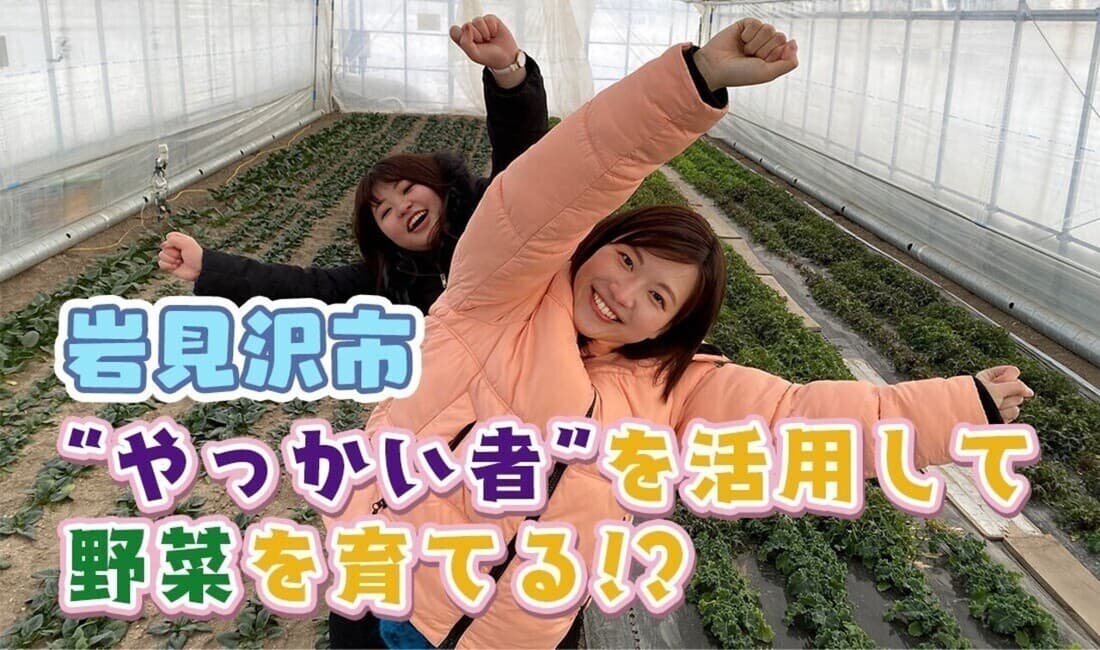 岩見沢市の高校生が“やっかい者”を活用して野菜を育てている！？