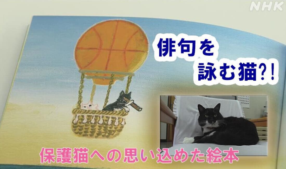 「俳句を詠む猫？！ “保護猫”への思い込めた絵本」