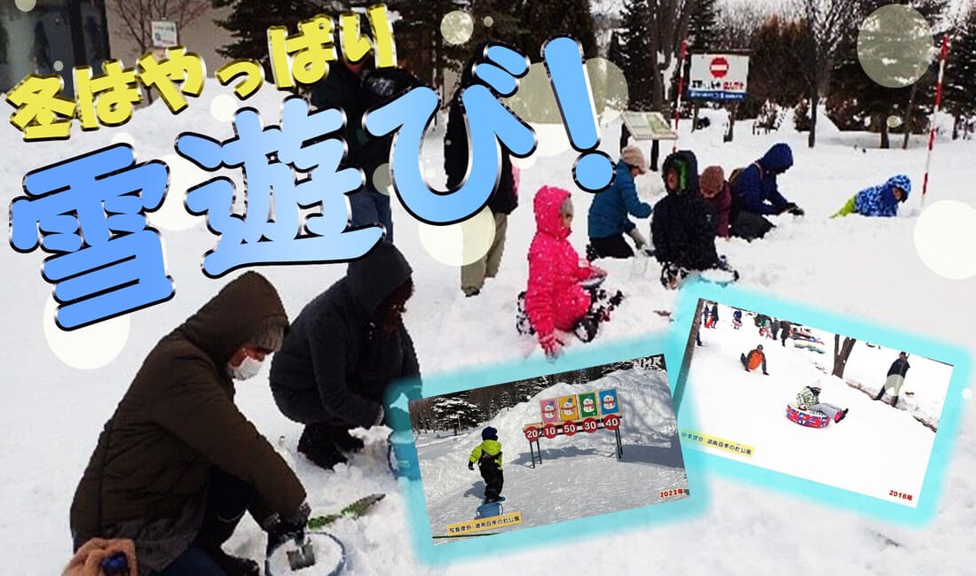 冬の公園で雪と遊ぼう ～どさんこゆきんこパーク 函館市～