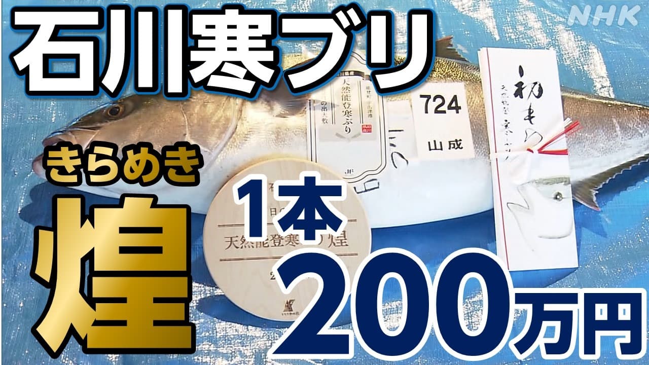 日本海の冬の味覚「天然能登寒ブリ」が金沢で１本２００万円！