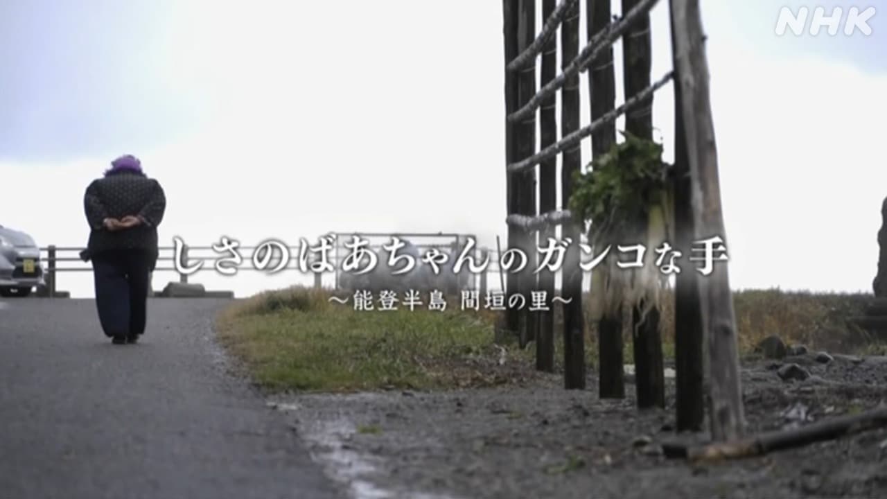 輪島市 間垣の里 「しさのばあちゃん」 NHKワールドJAPAN展開