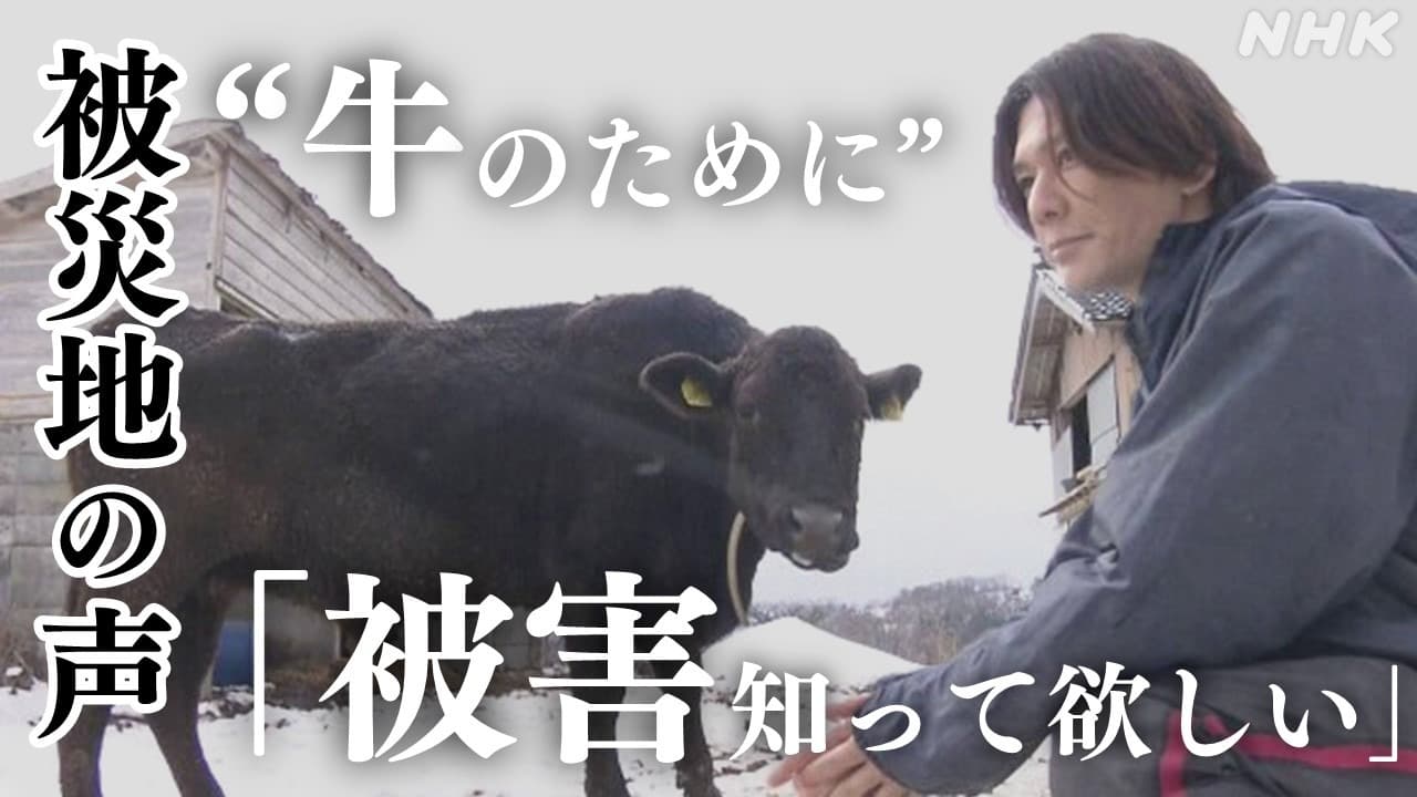 【被災地の声】珠洲市唐笠町「牛のためになんとか頑張る」 松田徹郎さん