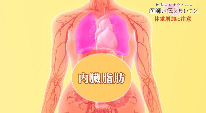 内臓脂肪の多い人は、肺が圧迫されやすい