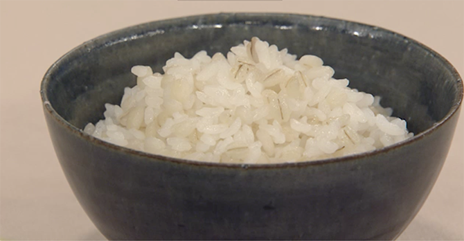白米だけのご飯にもち麦を加えて食物繊維をとる