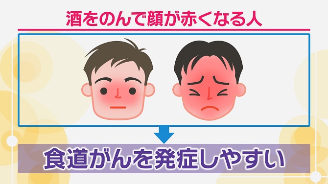 お酒を飲んで顔が赤くなる人は食道がんを発症しやすいことを表すイラスト図