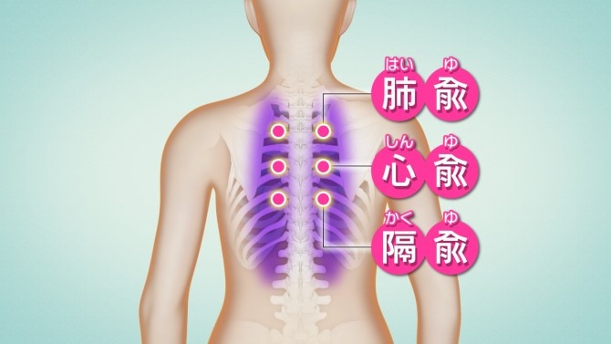 背中のコリ 息苦しさのお悩みを解消 東洋医学セルフケア Nhk健康チャンネル