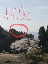 桜島が遠くに･･･