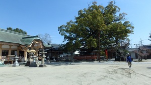 龍田神社で休けい