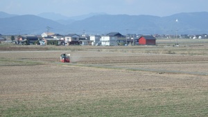佐賀平野の大豆畑を走る