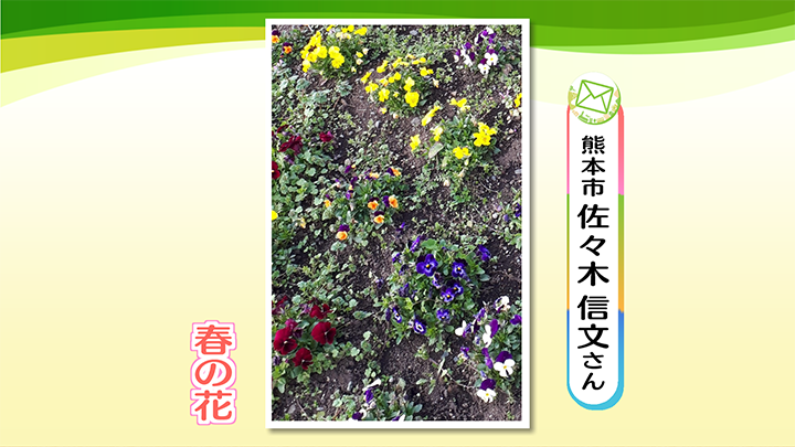 http://www.nhk.or.jp/kumamoto-blog/2020/03/16/image/0001_02019.png