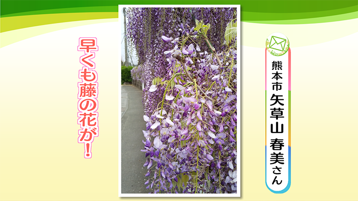 http://www.nhk.or.jp/kumamoto-blog/2021/04/06/image/0001_01022.png