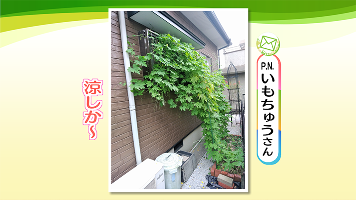 http://www.nhk.or.jp/kumamoto-blog/2021/07/12/image/0001_03005.png