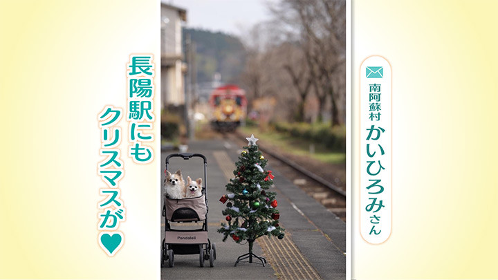 http://www.nhk.or.jp/kumamoto-blog/2023/12/18/image/06.jpg
