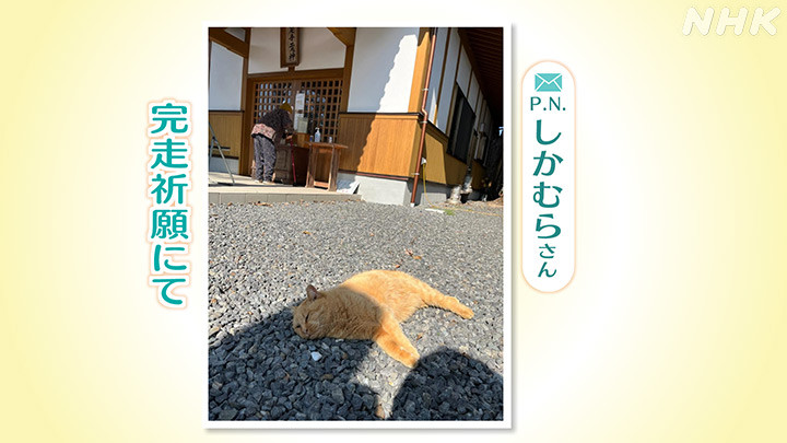 http://www.nhk.or.jp/kumamoto-blog/2024/02/19/image/06.jpg