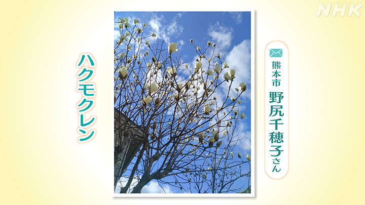 http://www.nhk.or.jp/kumamoto-blog/2024/03/11/image/09.jpg