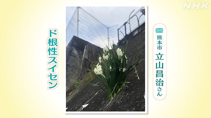 http://www.nhk.or.jp/kumamoto-blog/2024/03/18/image/2.jpg
