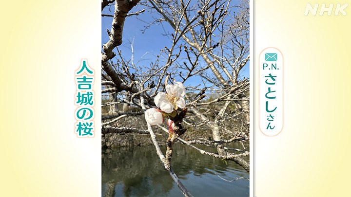 http://www.nhk.or.jp/kumamoto-blog/2024/03/26/image/04.jpg