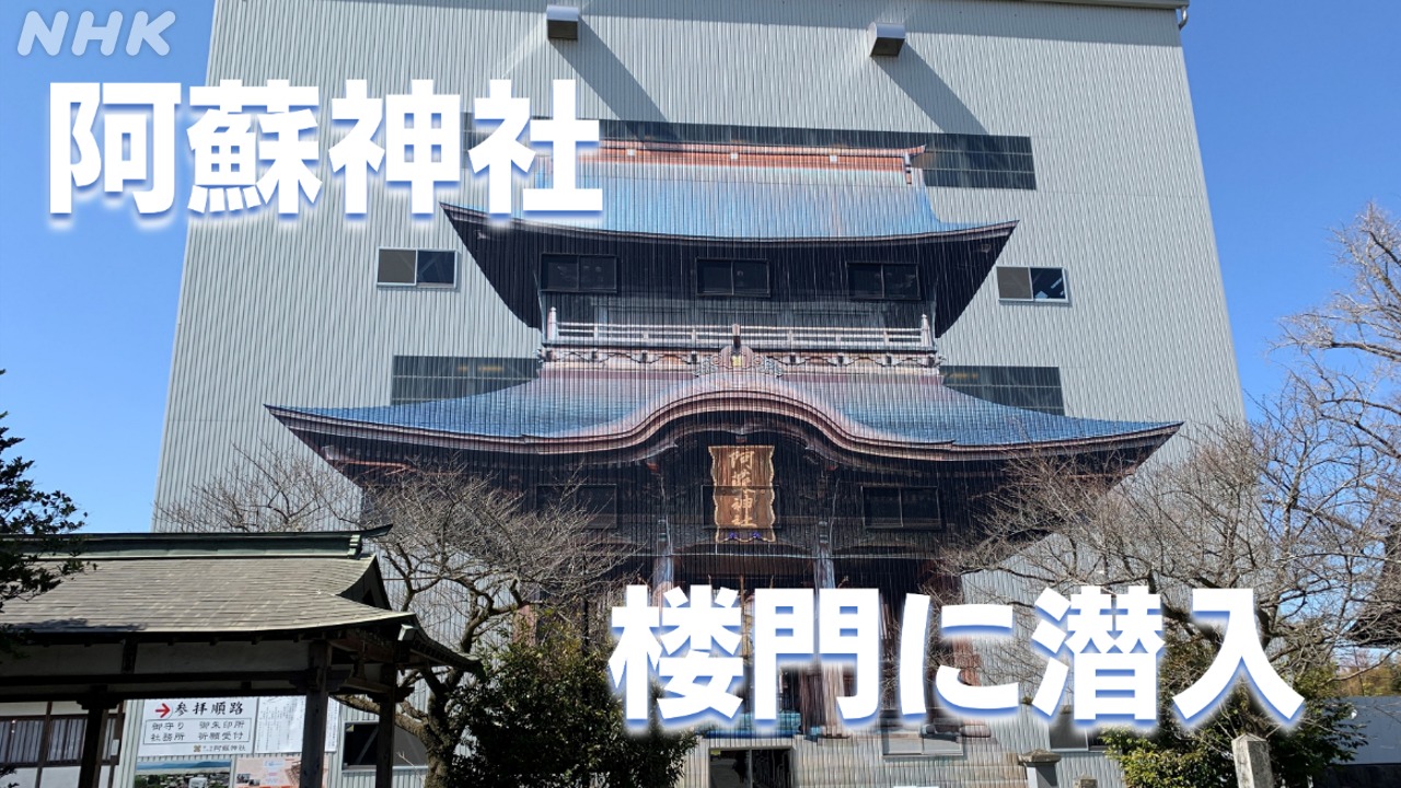 【今だけ！】阿蘇神社の楼門を間近で楽しむ