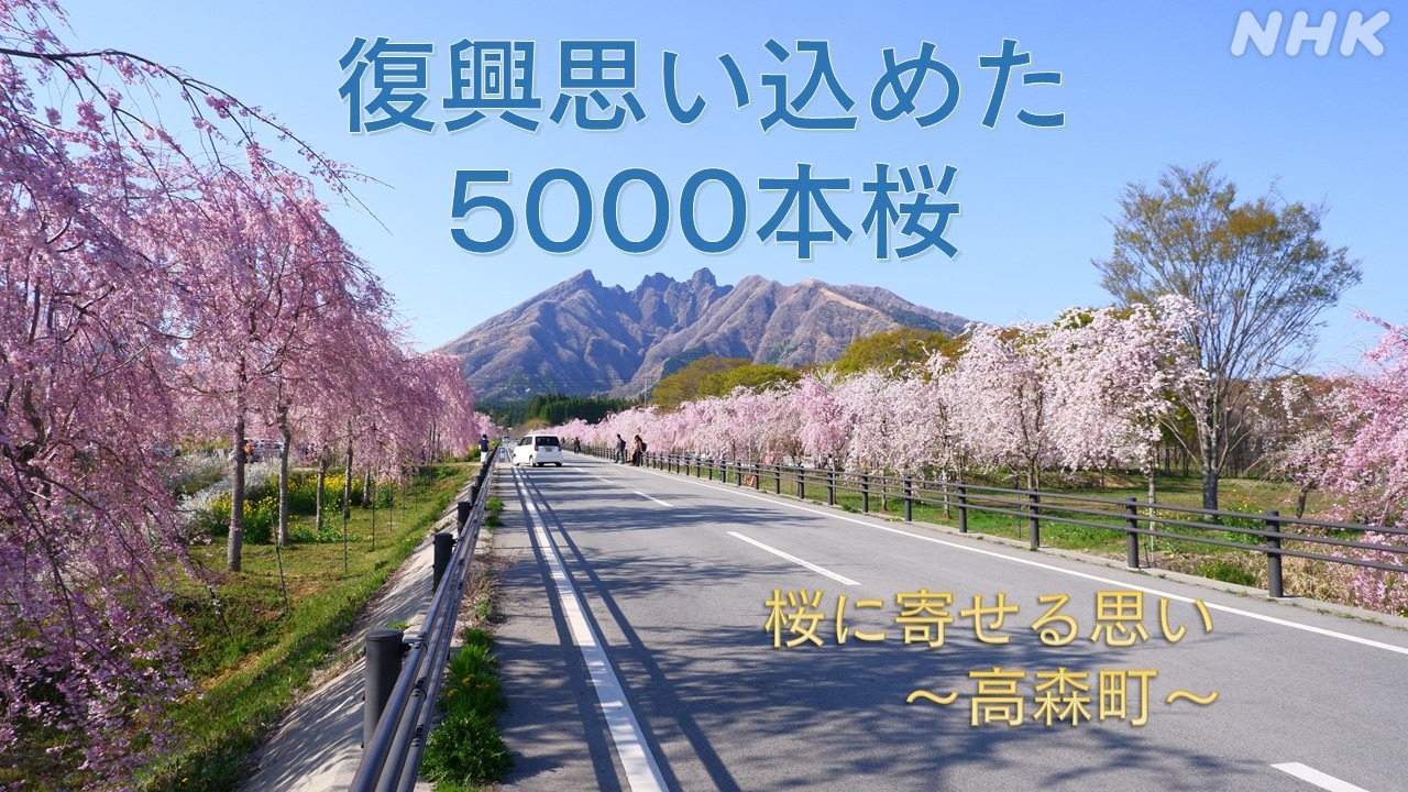 桜に寄せる思い　高森町の5000本の桜並木