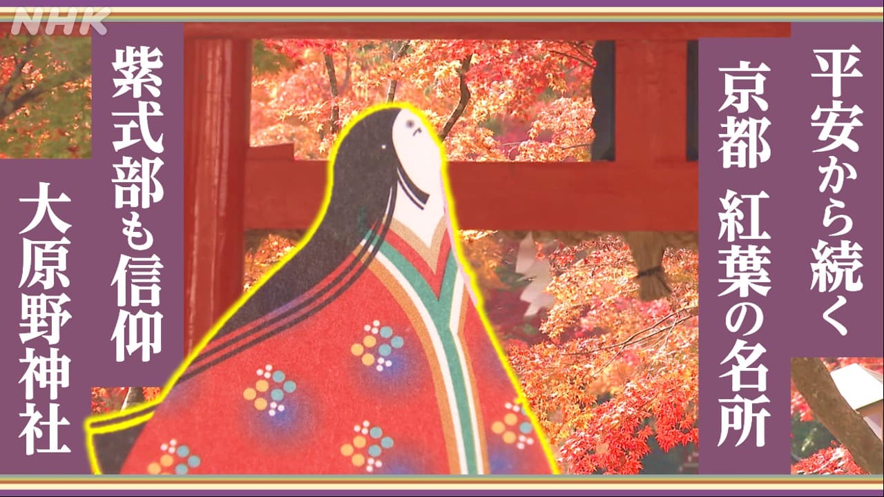 京都の秋　紅葉の赤に染まる神社に歴史のドラマを感じて