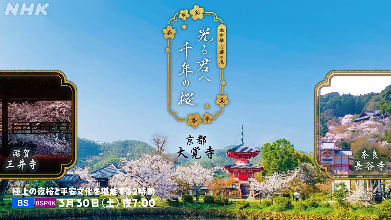 極上の夜桜と平安文化を吉高由里子さん 町田啓太さんら「光る君へ」キャストと堪能する２時間