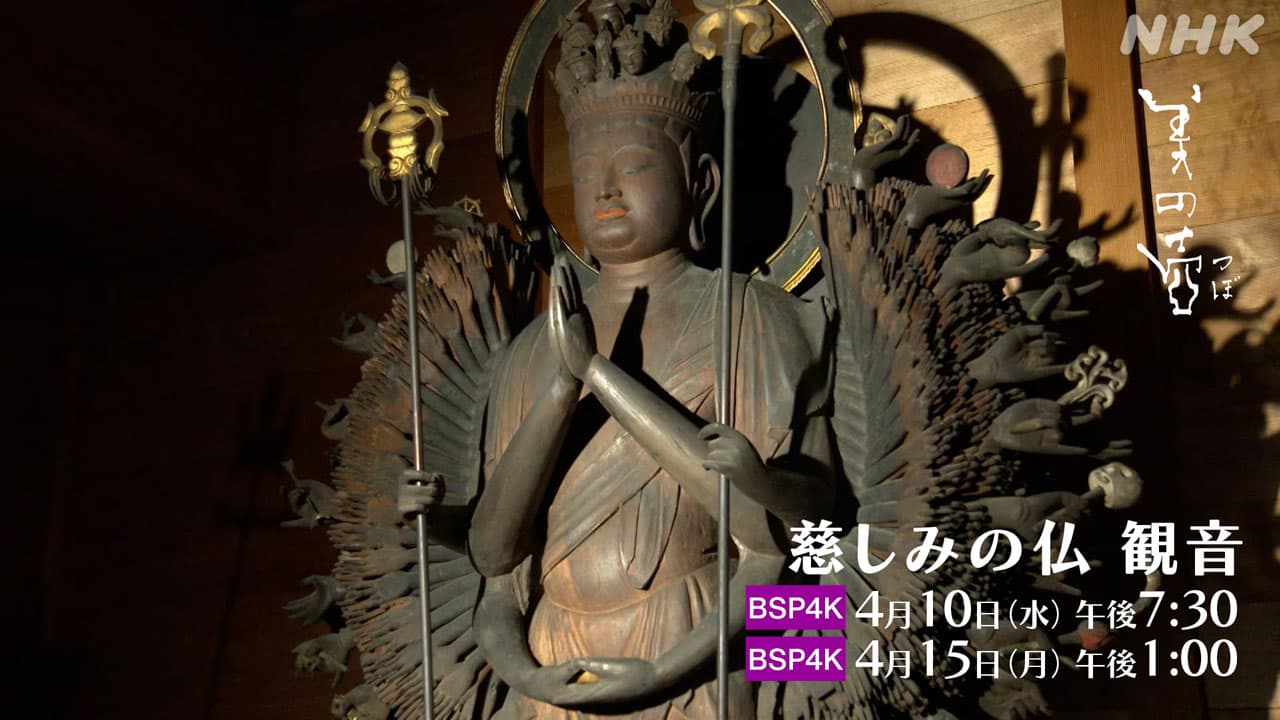 【美の壷】京都・寿宝寺 千本の手を持つ 十一面千手千眼観音“変化観音の極致”